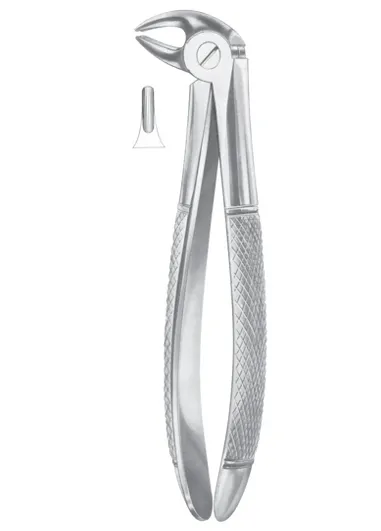 Fig. 13S lower premolars for children